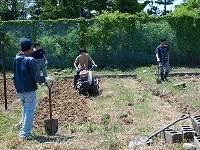 2014 paddy field taokoshi2.jpg(43255 byte)